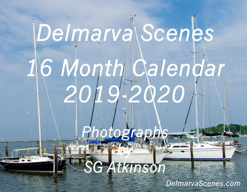 Delmarva Scenes Publishes 6th Annual Calendar of Photographs by SG